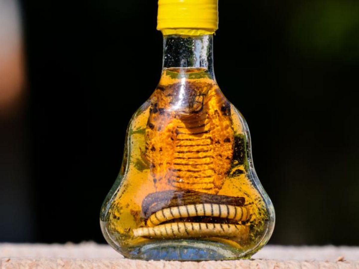 a bottle of snake oil