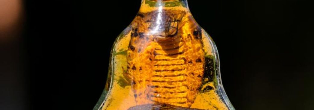 a bottle of snake oil