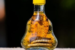 a bottle of snake oil {{brizy_dc_image_alt entityId=