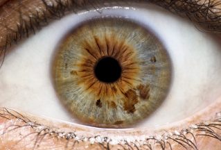 {{brizy_dc_image_alt entityId=